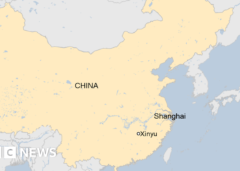 Xinyu: Dozens dead after fire breaks out in China shop – reports