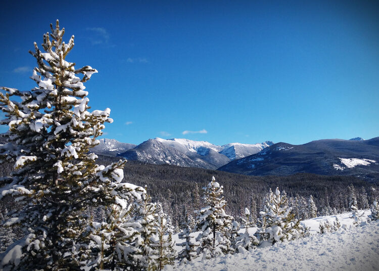 Lose Yourself, Discover Yourself in Dillon Montana