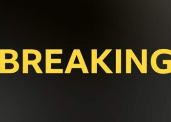 Sutton United: Manager Matt Gray sacked by League Two strugglers