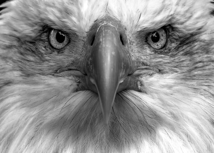 Opinion | The Challenges of an Aging President