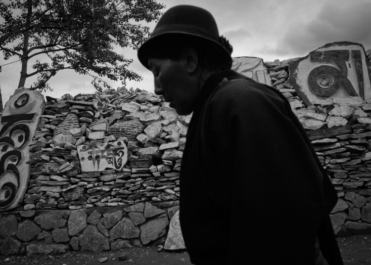 A free captive | Eurozine