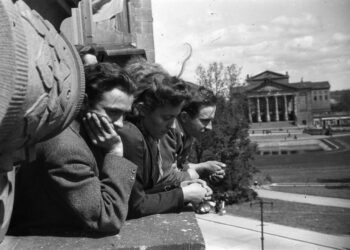 Vom blauen zum weißen Kragen