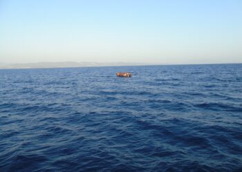 ‘Eurowhiteness’ | Eurozine