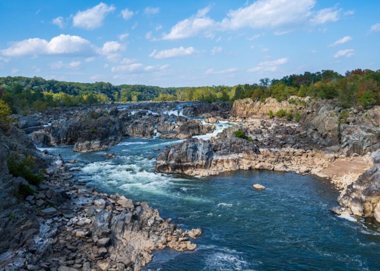 10 Day Trips From Washington D.C For Nature Lovers