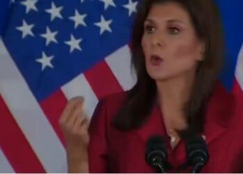 Nikki Haley Has Done Immense Damage To Trump In South Carolina