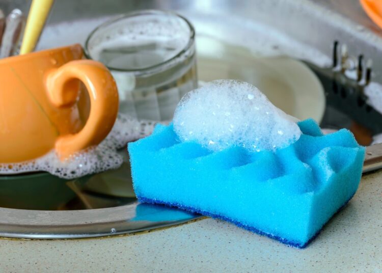 Why Does My Dish Sponge Smell?