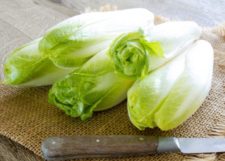 How To Use Endive In Your Cooking