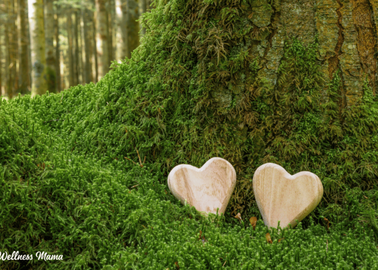 Why Opt for a Green Burial?