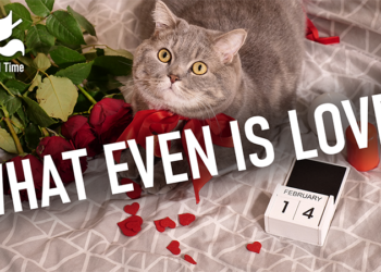 The ways we love | Eurozine