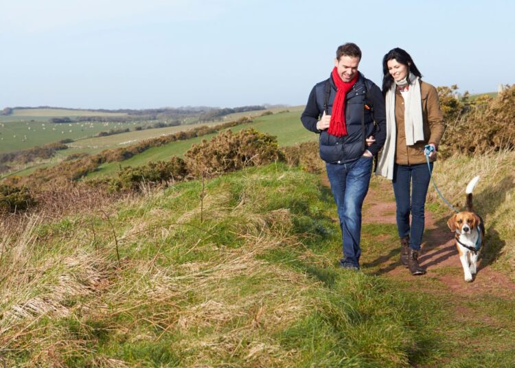 Why Walking is the Best Way to Burn Fat