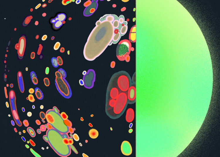 Opinion | What MethaneSAT Will Teach Us About Climate Change