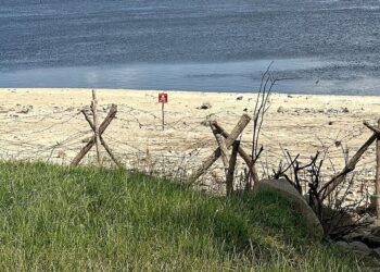 Vertical occupation | Eurozine