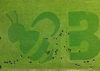 Organic Valley Creates Greenest Ads Grazed by Cows