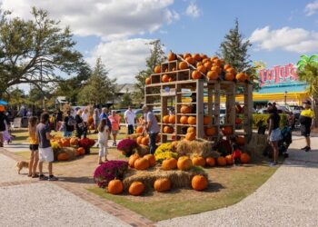 Succumb To Myrtle Beach: Discover the Magic of Autumn Along the Grand Strand