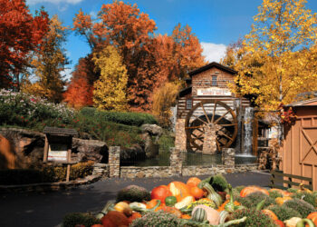 Roundup: The South’s Best Fall Events